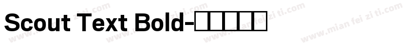 Scout Text Bold字体转换
